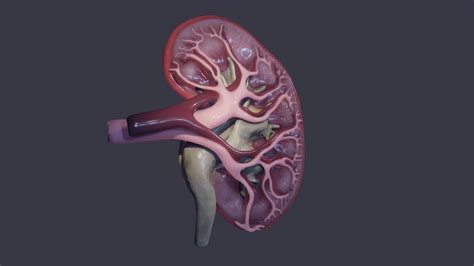 A 3D model collection by UoB.